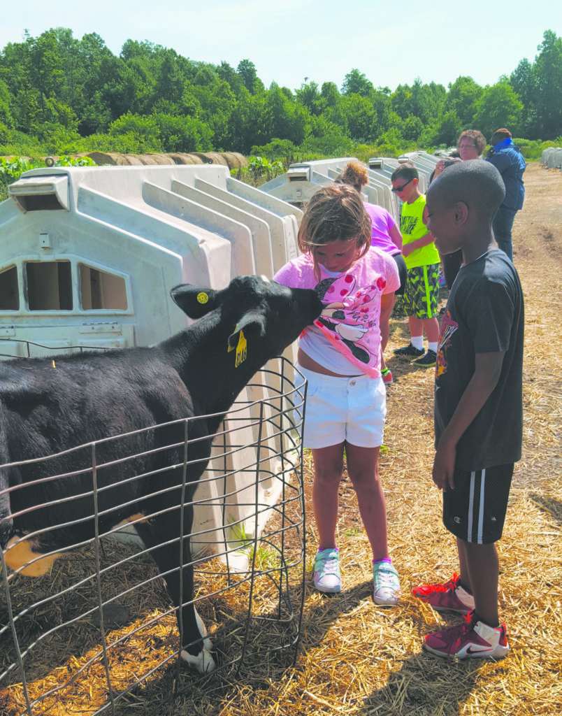 Hastings Dairy offers Tours Milk from Farmstead Creamery The Weekly
