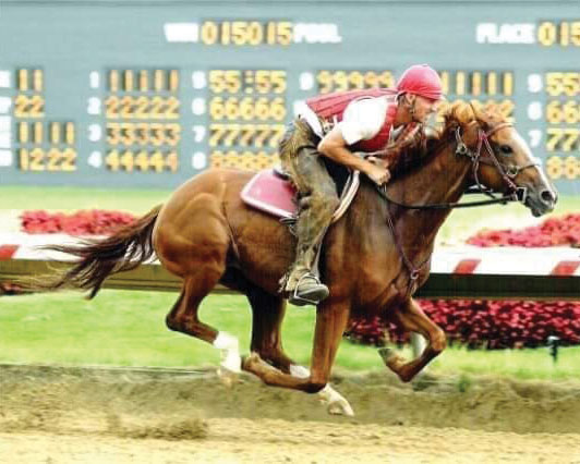 Mark Maddox working one of the horses at the track.  Photo courtesy of the Maddox family