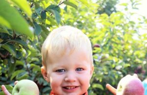 Monroe’s Orchard enters 25th year of Harvest Festivals Monroe’s Orchard enters 25th year of Harvest Festivals