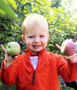 Monroe’s Orchard enters 25th year of Harvest Festivals