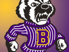 Badgers’ wrestling earns third place at sectional tournament Berkshire Badgers