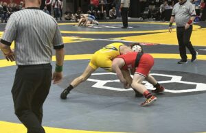 Anthony Sindelar earns All-Ohioan honors at state wrestling meet