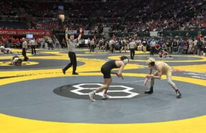 J.P. Wrobel snags fifth place at state wrestling meet