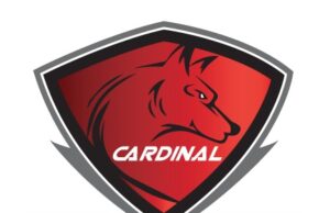 Cardinal girls’ basketball shines in NAC opener, tops Pymatuning Valley Cardinal Huskies