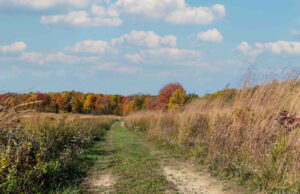 James H. Barrow Biological Field Station at Hiram College offers Summer Camp Programs