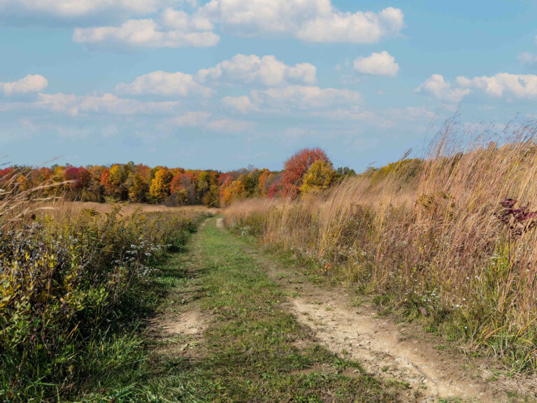 James H. Barrow Biological Field Station at Hiram College offers Summer Camp Programs