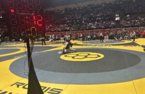 Aurora’s Walton and Brasiel each earn All-Ohio honors at D-I state meet