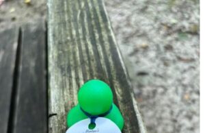 Art & Wine Tasting Festival Returns to Mantua