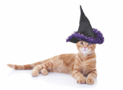 Candy, And Then Some