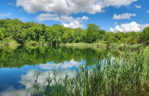 Portage Park District Conserves 550 acres in Shalersville Portage Park District has big plans to build future park in Shalersville