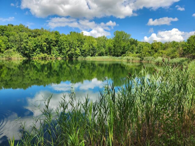 Portage Park District Conserves 550 acres in Shalersville Portage Park District has big plans to build future park in Shalersville