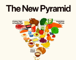 The “New” Food Pyramid The "New" Food Pyramid