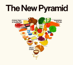 The “New” Food Pyramid The "New" Food Pyramid