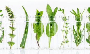 Gardening Season is Around the Corner (WE HOPE!) Silver Creek Garden Club