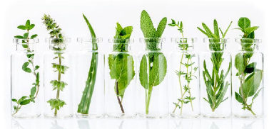 Gardening Season is Around the Corner (WE HOPE!) Silver Creek Garden Club