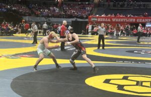 Crestwood’s Tye Berquist finishes in sixth place at D-III state meet
