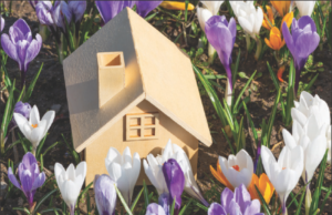 Geauga Home and Garden Show Showcases the Best in Local Expertise Geauga Home and Garden Show returns to Middlefield this weekend