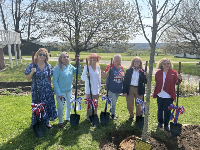 Daughters of the American Revolution plant Liberty Tree The Molly Chittenden Chapter Daughters of America planted a liberty tree on the campus of Century Village museum last Friday morning in Burton/Photo by Daniel Sherriff