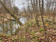 Portage Park District continues watershed conservation, purchases Windham Township parcel The Portage Park District recently purchased three parcels of land totaling 10 acres in Windham Township, which consist of the Eagle Creek Watershed/Photo courtesy of Portage Park District Education & Outreach Manager Jennifer White