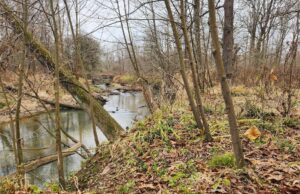 Portage Park District continues watershed conservation, purchases Windham Township parcel The Portage Park District recently purchased three parcels of land totaling 10 acres in Windham Township, which consist of the Eagle Creek Watershed/Photo courtesy of Portage Park District Education & Outreach Manager Jennifer White