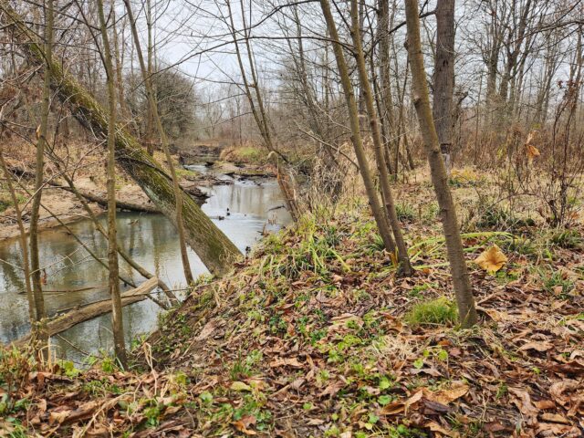 The Portage Park District recently purchased three parcels of land totaling 10 acres in Windham Township, which consist of the Eagle Creek Watershed/Photo courtesy of Portage Park District Education & Outreach Manager Jennifer White