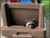Party On! The Garrettsville-Hiram Rotary Club welcomed an unexpected visitor at its 100th anniversary party