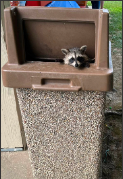 The Garrettsville-Hiram Rotary Club welcomed an unexpected visitor at its 100th anniversary party The Garrettsville-Hiram Rotary Club welcomed an unexpected visitor at its 100th anniversary party