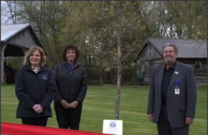 Portage Historical Society plants heritage tree to recognize America’s 250th anniversary The Portage County Historical Society recently planted a white swamp oak heritage tree on its campus grounds in April 30 on behalf of the America250 Ohio Commission - Photo courtesy of Debbie Sunderland